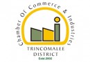 Trincomalee Young Entrepreneur Network (TYEN)